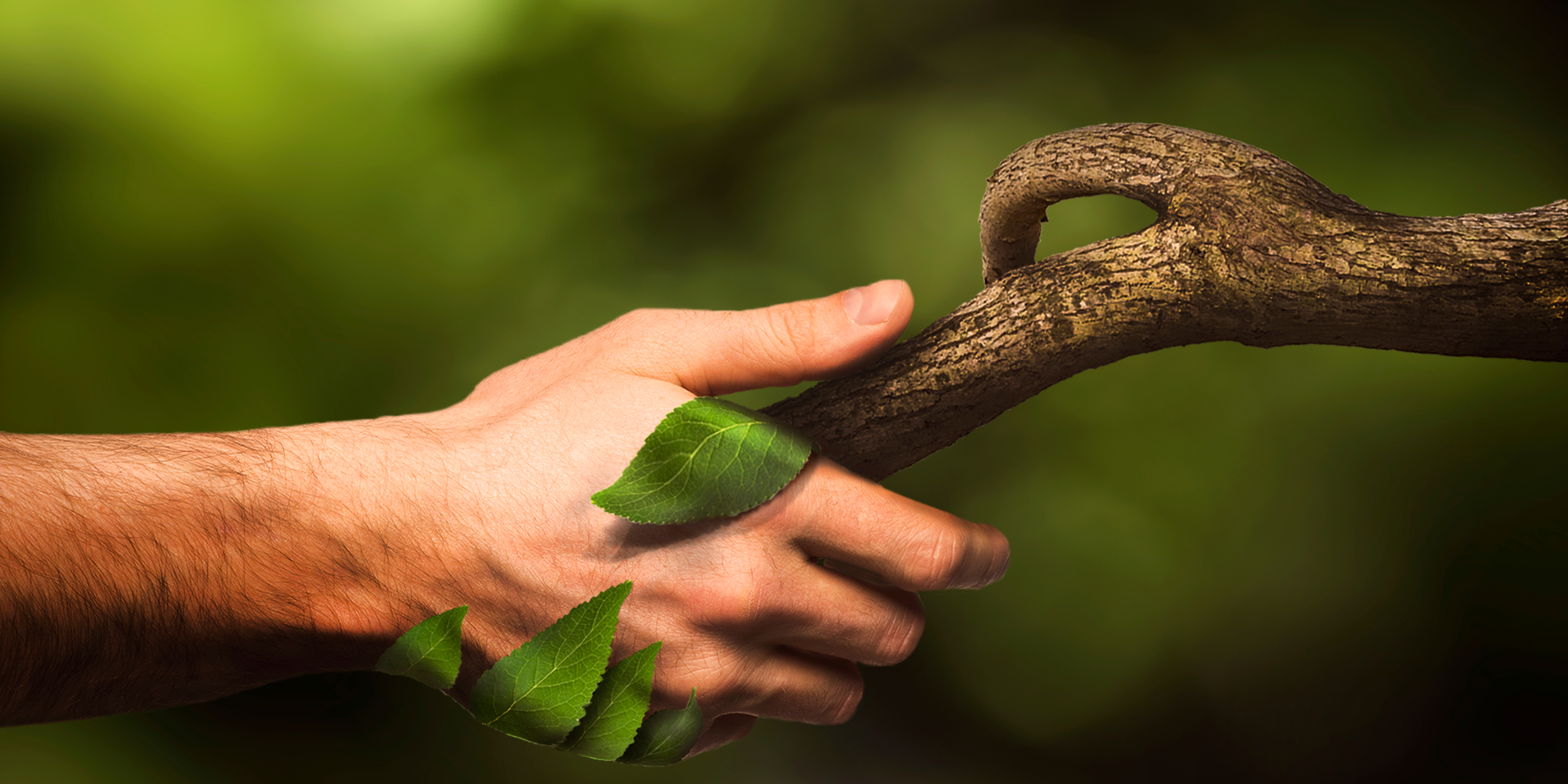 Quinta versión Control Social al Licenciamiento Ambiental