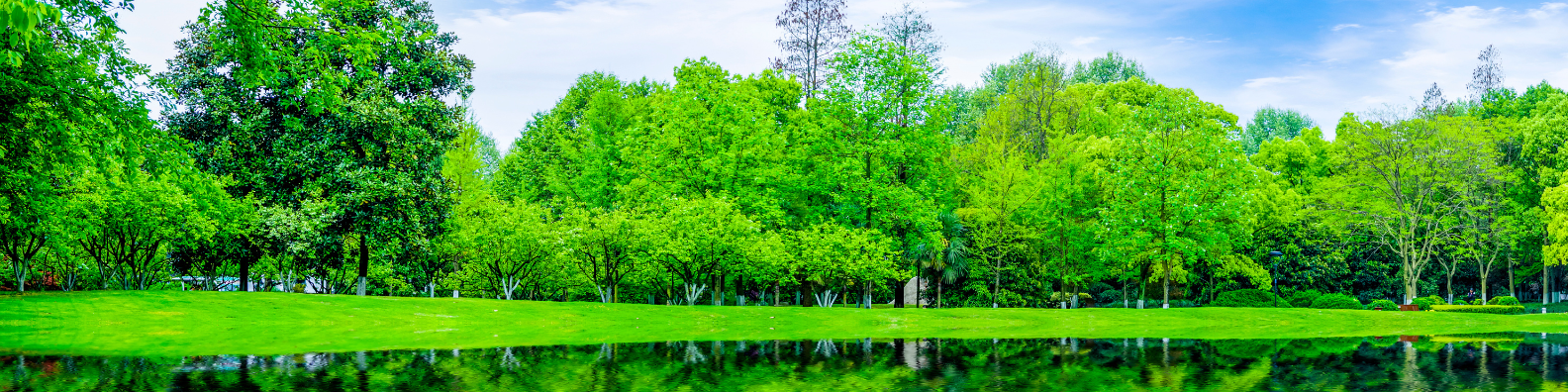 3ra versión Lecciones de Proceso Sancionatorio Ambiental